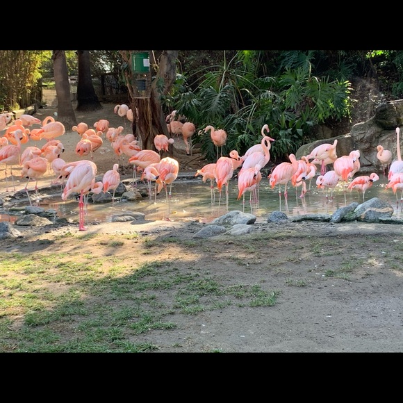 Meet your Posher, Teresa - Picture 1 of 1